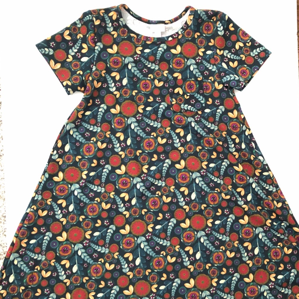 LuLaRoe Carly dress